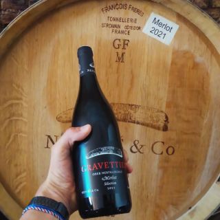 Máte ho mít. Rychle, než to smažou! #merlot2021 #vinarstvinepras