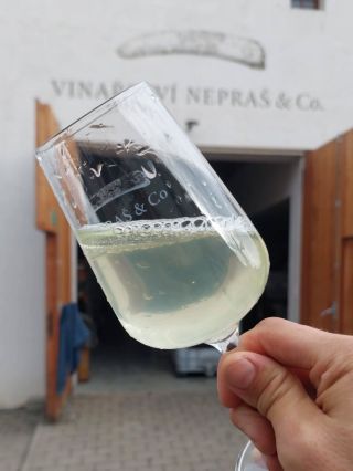 Vinobraní 25 v plném proudu! A letos kromě klasik chystáme konečně i nealko variantu plnou vitamínů z trati U Božích muk 🍇...