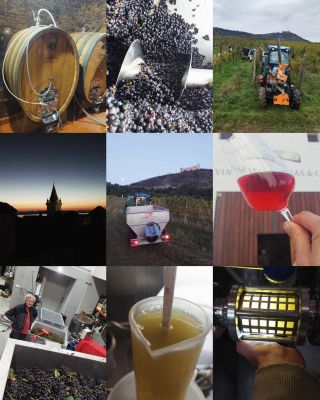 🎉OSLAVA 13. SEZÓNY Vinařství NEPRAŠ & Co. 🎉 Přijďte s námi poslední listopadovou sobotu oslavit, že máme další ročník...